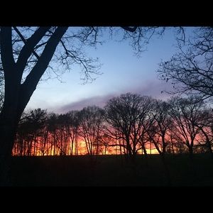 Meet your Posher, Leslie